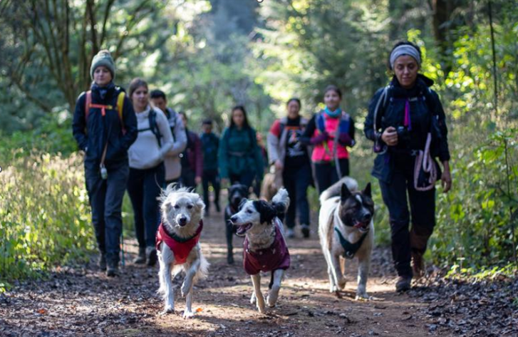 Dejémonos guiar por la naturaleza, la energía de las plantas y los animales, abramos la mente y disfrutemos al máximo.